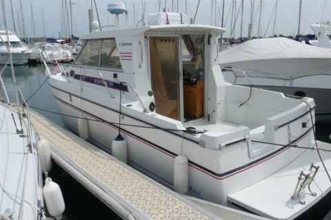 Autocollant-Albatross-750-nggid03130-ngg0dyn-480x320x100-00f0w010c010r110f110r010t010